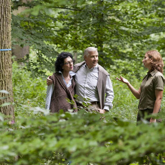 Drei Personen stehen in einem Waldgebiet, umgeben von Bäumen und dichter grüner Vegetation. Eine Person scheint den beiden anderen etwas zu erklären oder mit ihnen zu besprechen. Mehrere Bäume im Vordergrund und Hintergrund sind mit blauen Bändern markiert. Das Bild zeigt ein angeleitetes Gespräch oder eine Beratung, die in einer natürlichen Waldumgebung stattfindet.