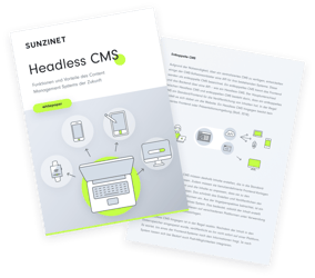 Headless CMS Whitepaper - Headless CMS Agentur SUNZINET