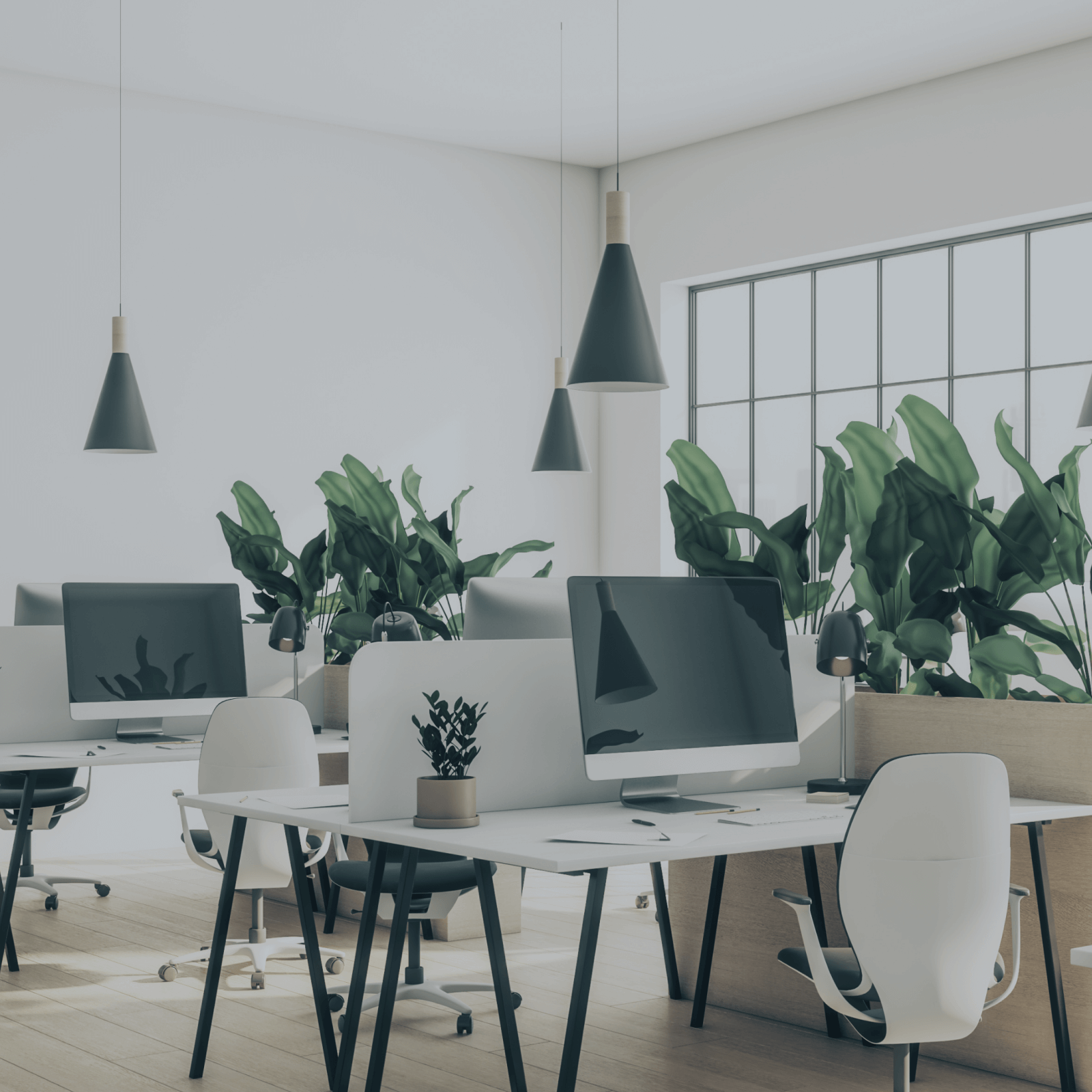 Ein helles, modernes Büro mit weißem Mobiliar | Strategieberatung Marketing und Vertrieb von SUNZINET