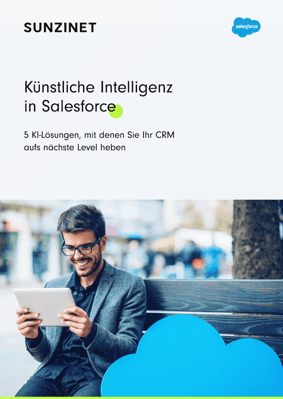 KI-in-Salesforce-Screenshot