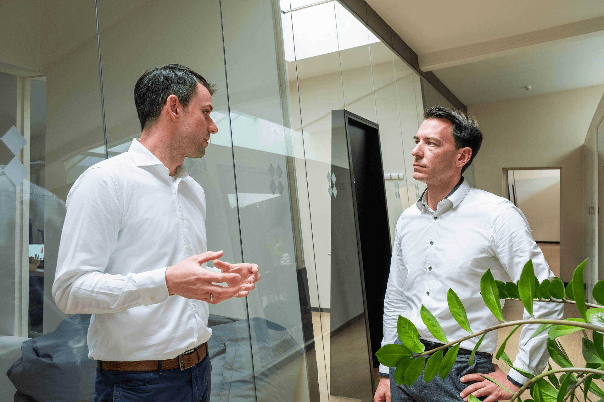 Two professionals engaged in a discussion in a modern office space. One man is speaking, gesturing with his hands, while the other listens attentively. Both are dressed in white shirts, and the conversation takes place near glass partitions. A green plant is visible in the foreground, and the background shows an open office environment. | Market entry framework SUNZINET