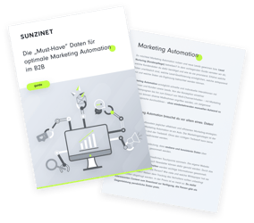 Die ,,Must Have'' Daten für optimale Marketing Automation im B2B