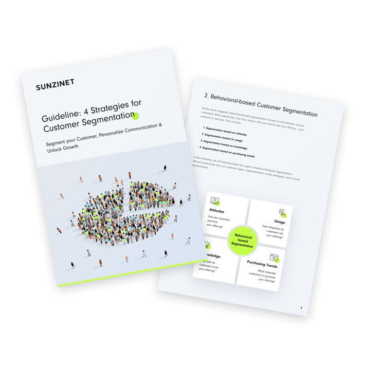 Overview of the whitepaper contents showing two pages with a pie chart illustration on the cover | customer segmentation b2b SUNZINET