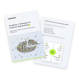 Overview of the whitepaper contents showing two pages with a pie chart illustration on the cover | customer segmentation b2b SUNZINET