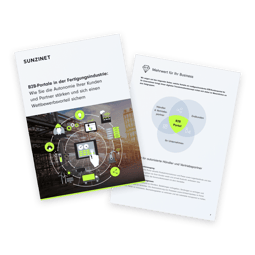 Overview_B2B_DE_transparent 1