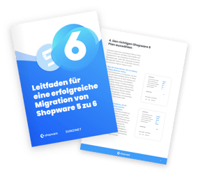 Shopware Migration 5 zu 6 _ Digitalagentur SUNZINET