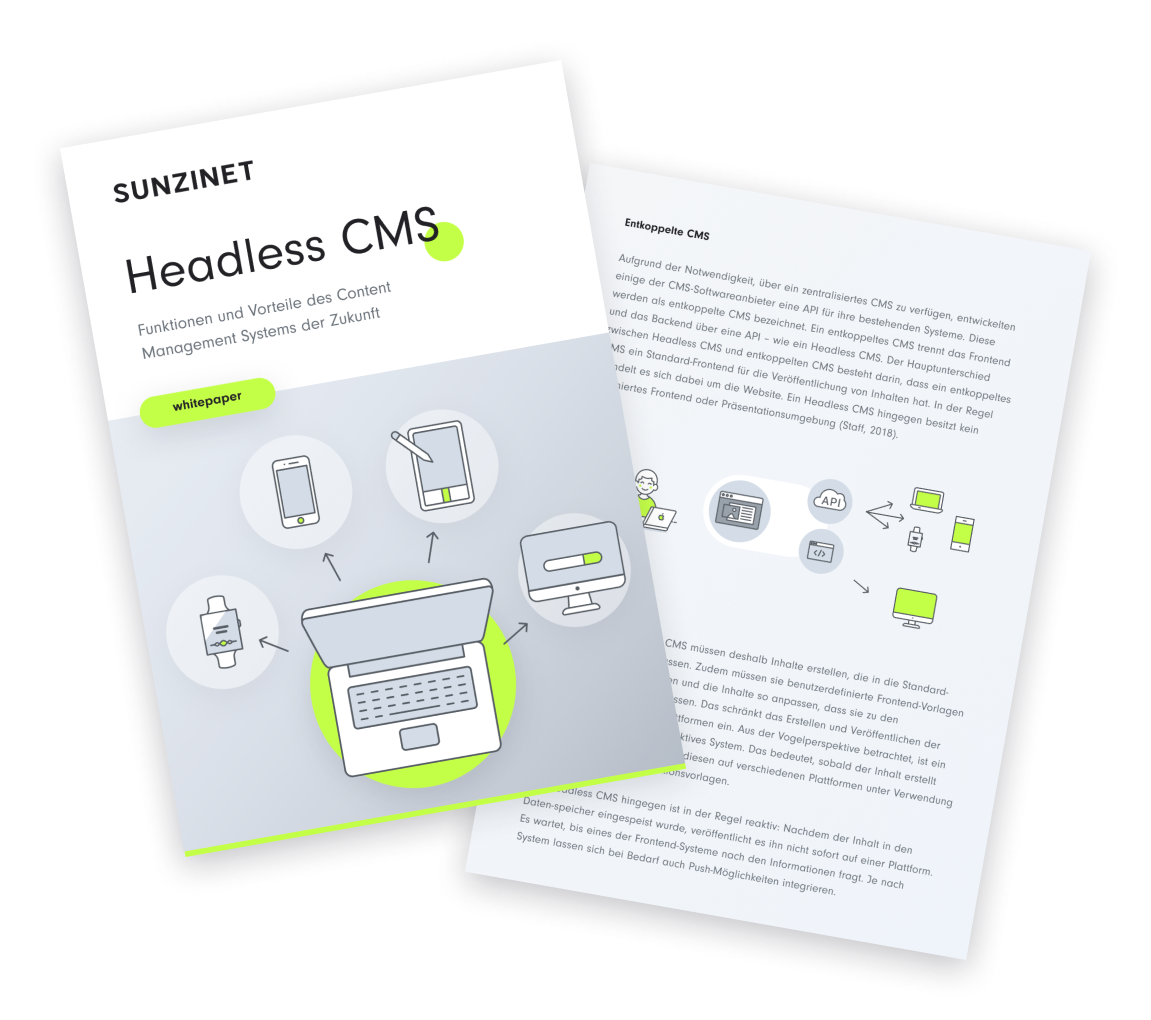 Headless-cms-whitepaper-the-functions-advantages-and-future-of-cms-systems