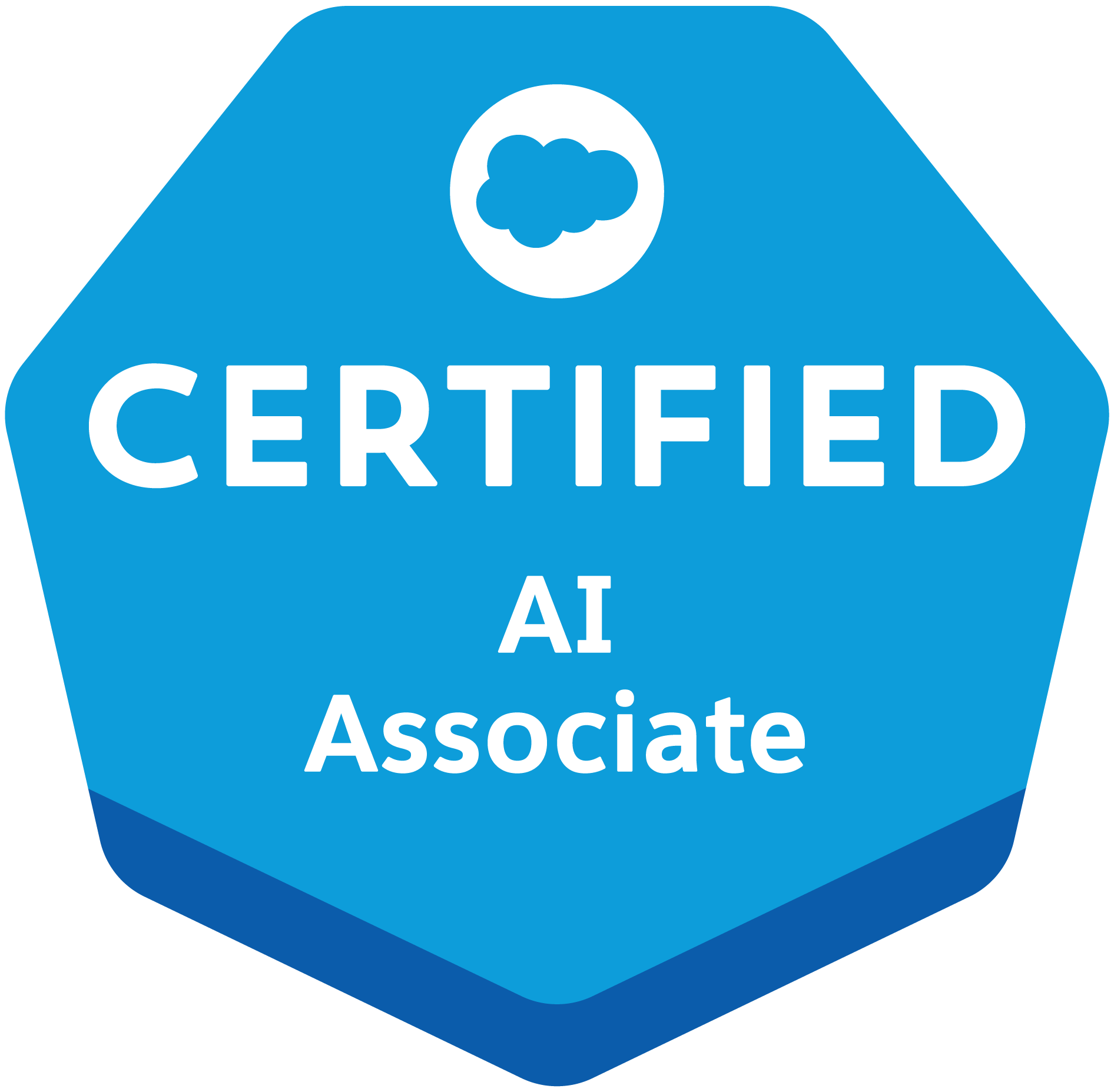 AI Associate - Salesforce Agency SUNZINET