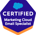 Certified Salesforce Marketing Cloud Email Specialist - Salesforce Consulting and implementation Partner Agency