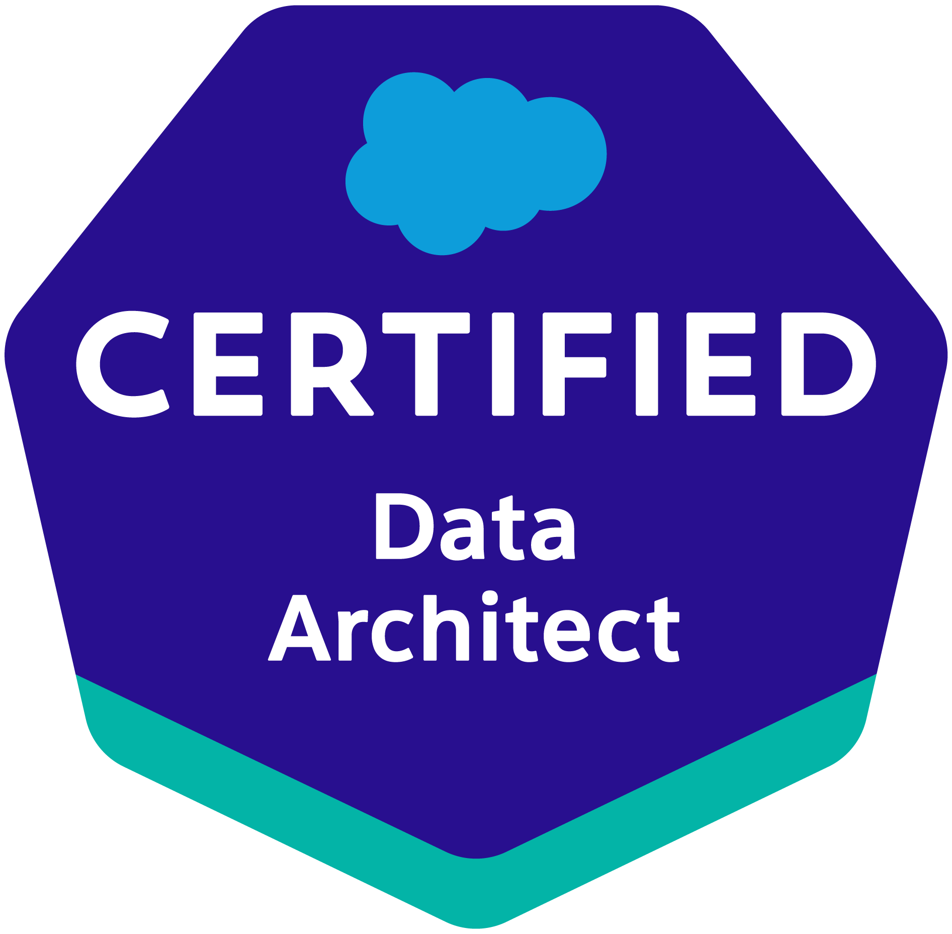 Data Architect