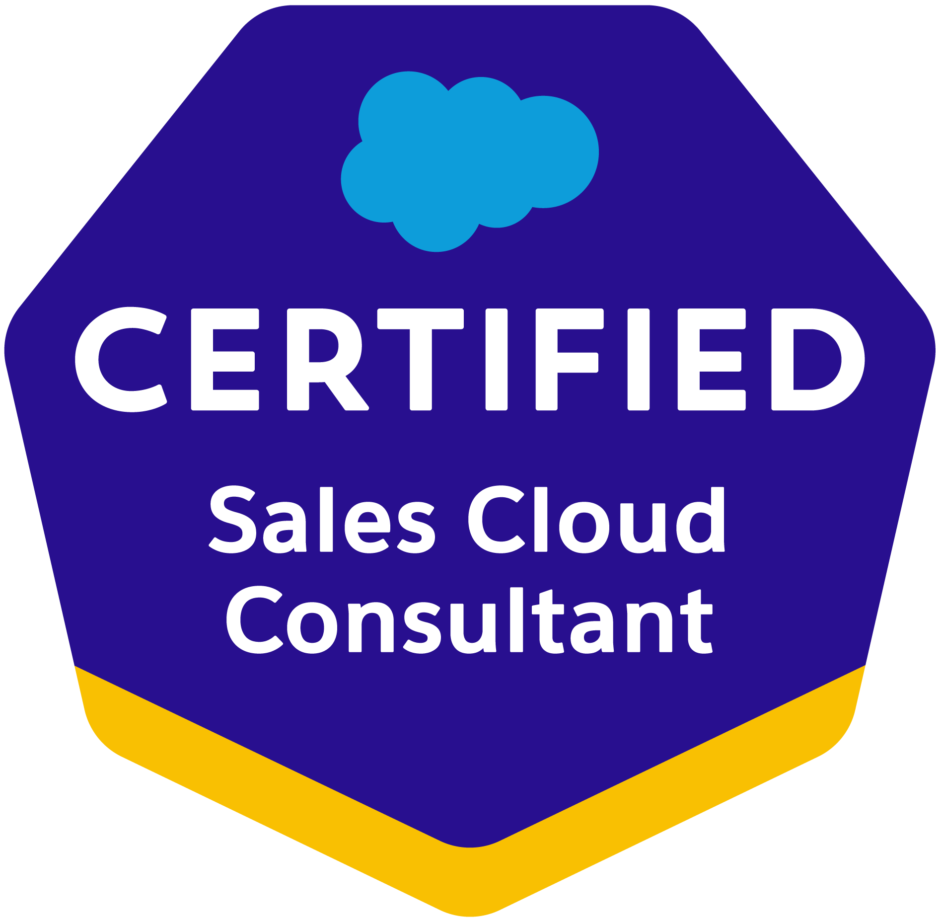 Salesforce certified Sales Cloud Consultant expert - Salesforce consulting and implementation Agency SUNZINET