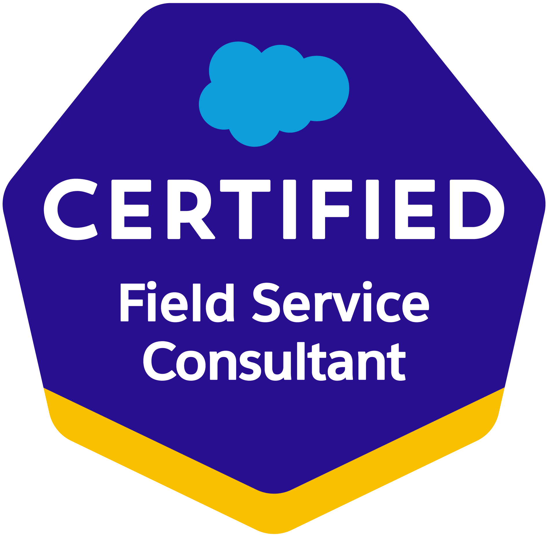 Salesforce zertifizierte Field Service Consultant - Revenue Lifecycle Management Salesforce Agentur SUNZINET