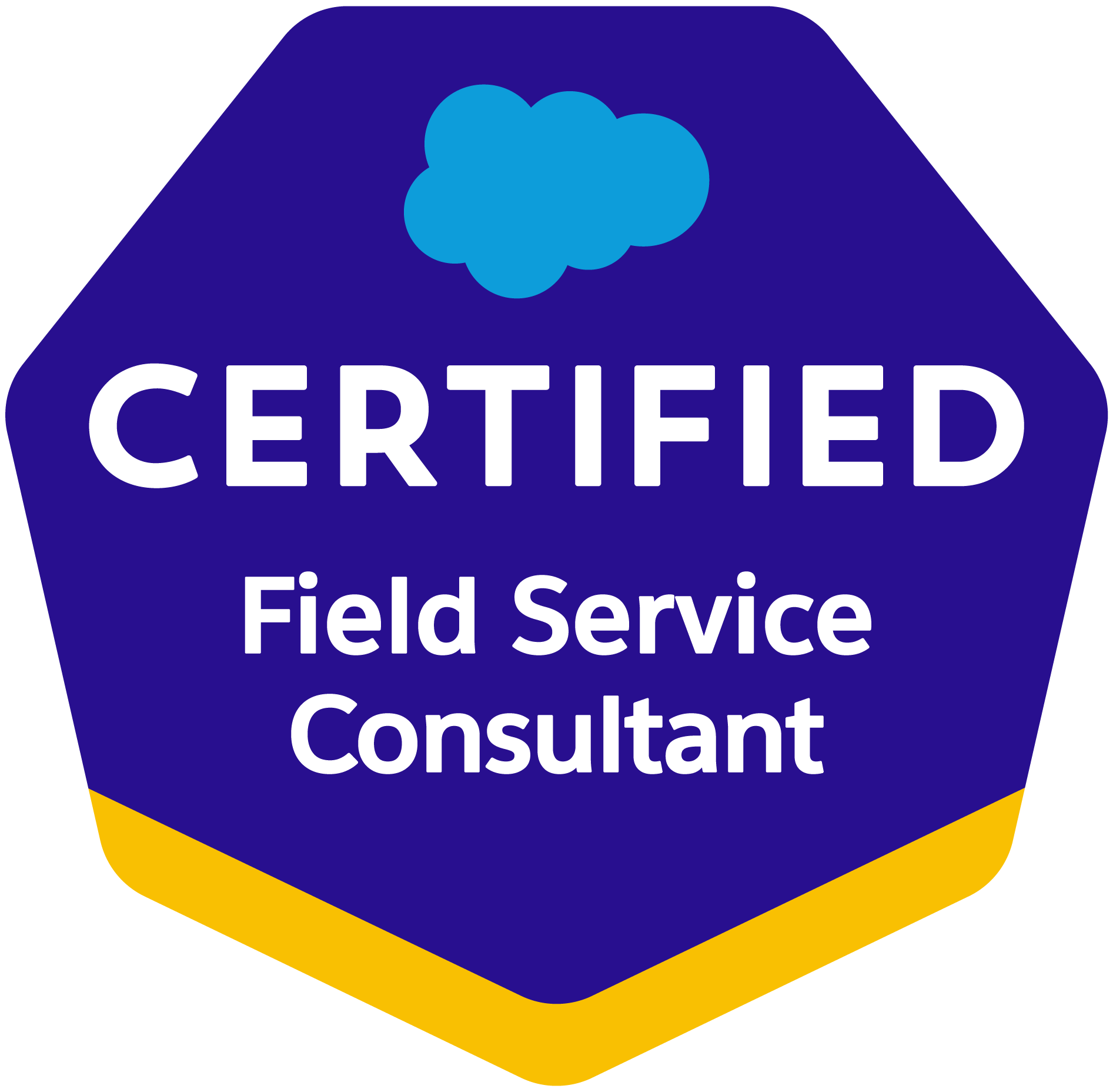 Salesforce zertifizierte Field Service Consultant -Salesforce CPQ consulting and implementation agency SUNZINET