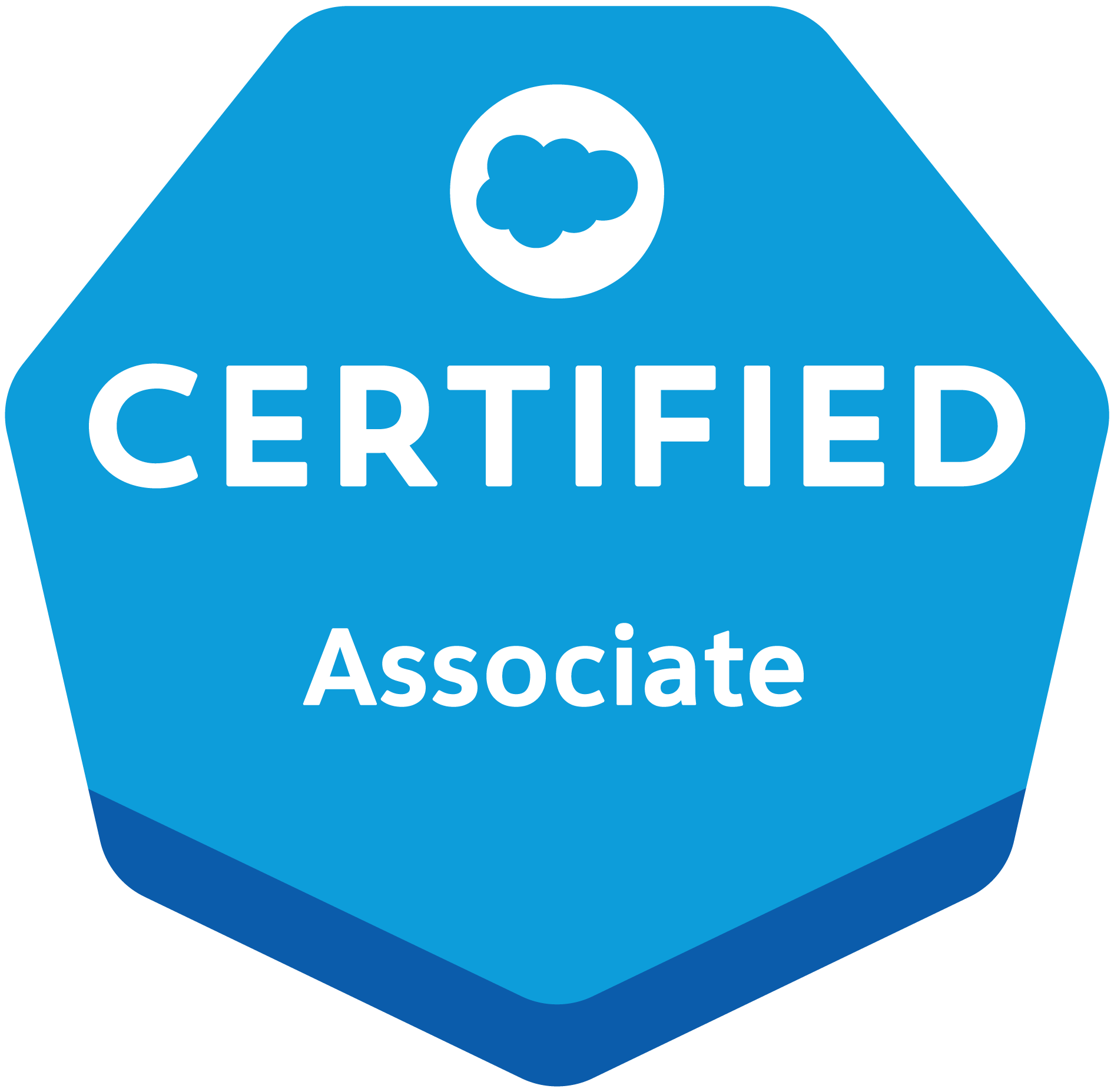 Salesforce zertifiziert Associate - salesforce agentur SUNZINET