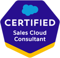 Zertifiziert Salesforceforce Sales Cloud Berater:in - Salesforce Beratung und implementierung Partner Agentur