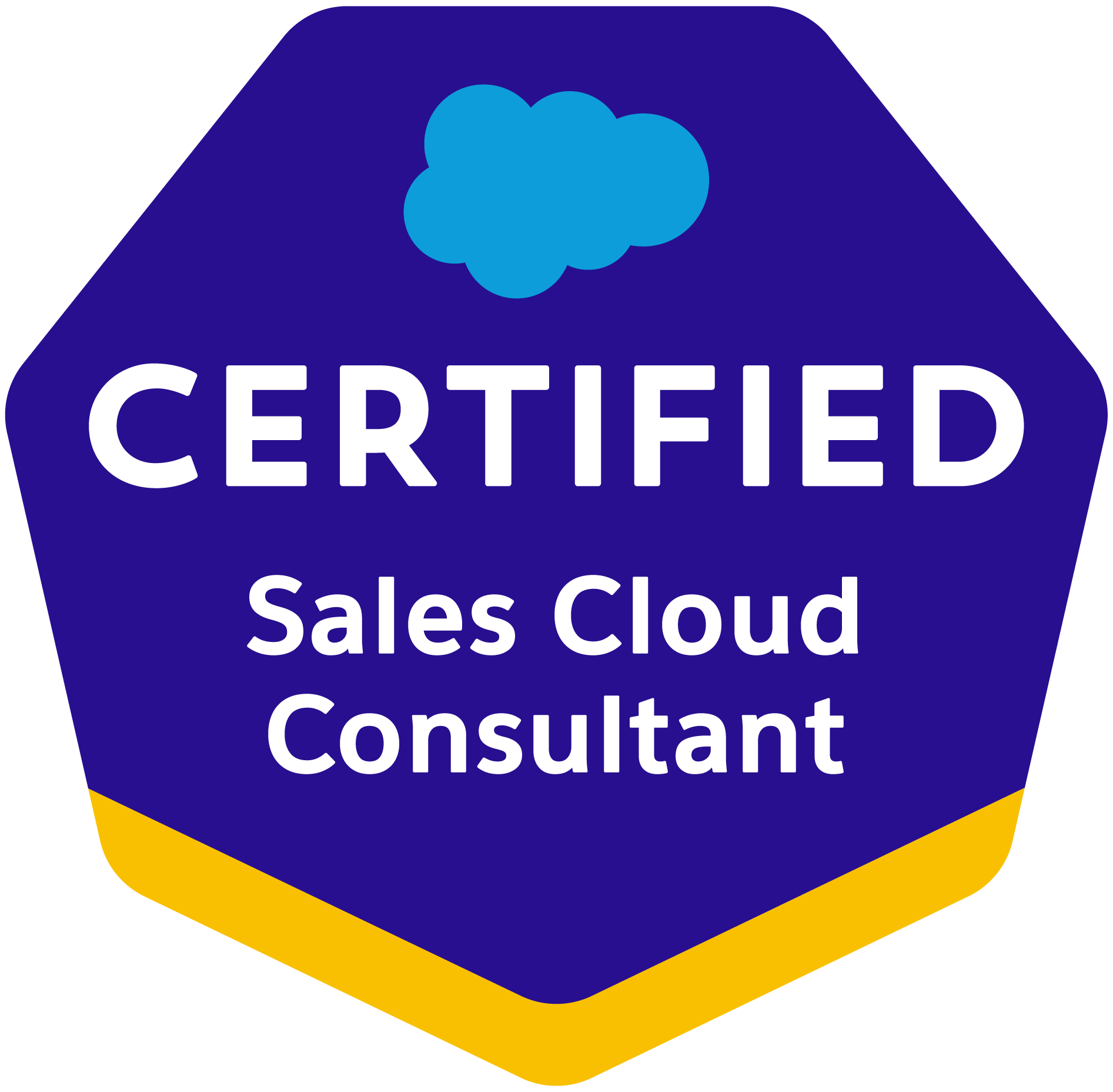 Zertifizierte Salesforce Sales Cloud Consultant