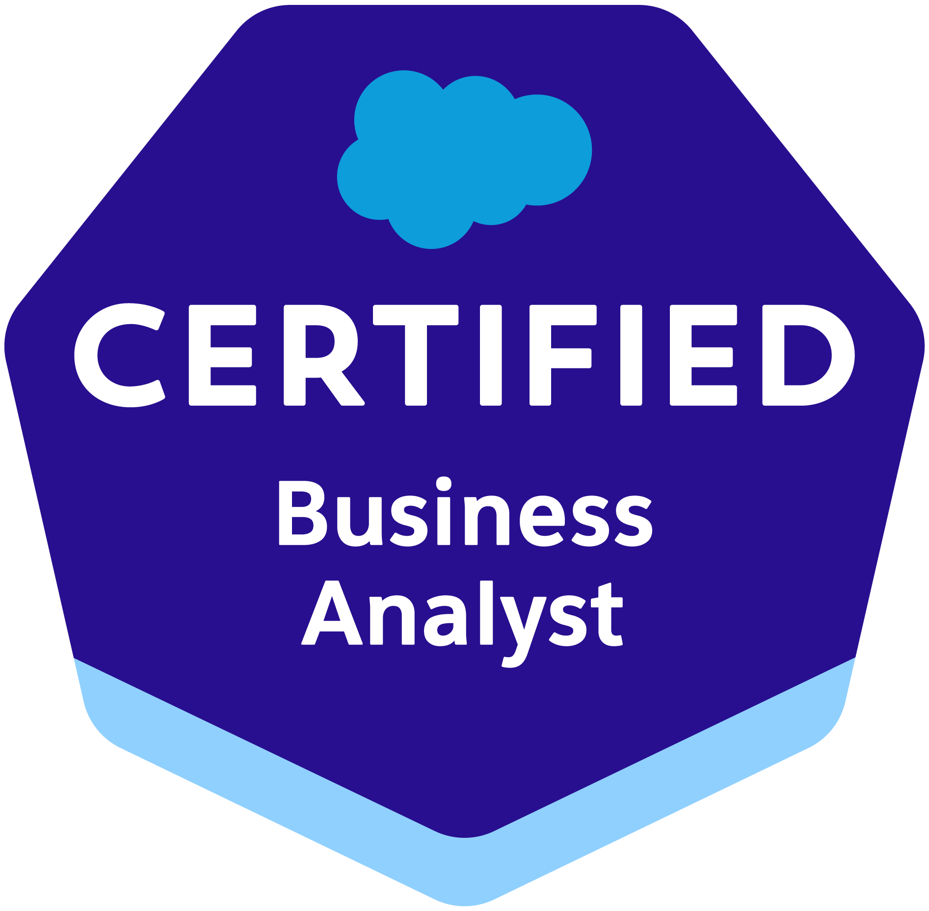 salesforce certified Business Analyst Expert - Revenue Lifecycle Management Salesforce