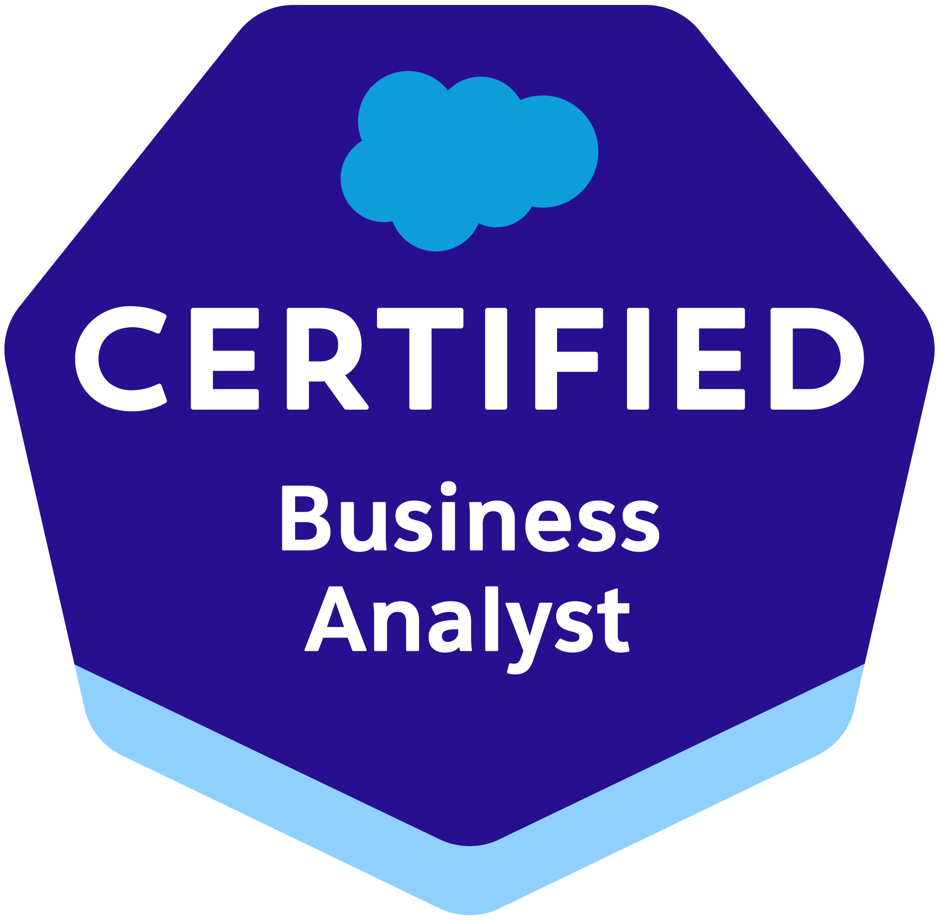 salesforce zertifizierte Business Analyst Experten