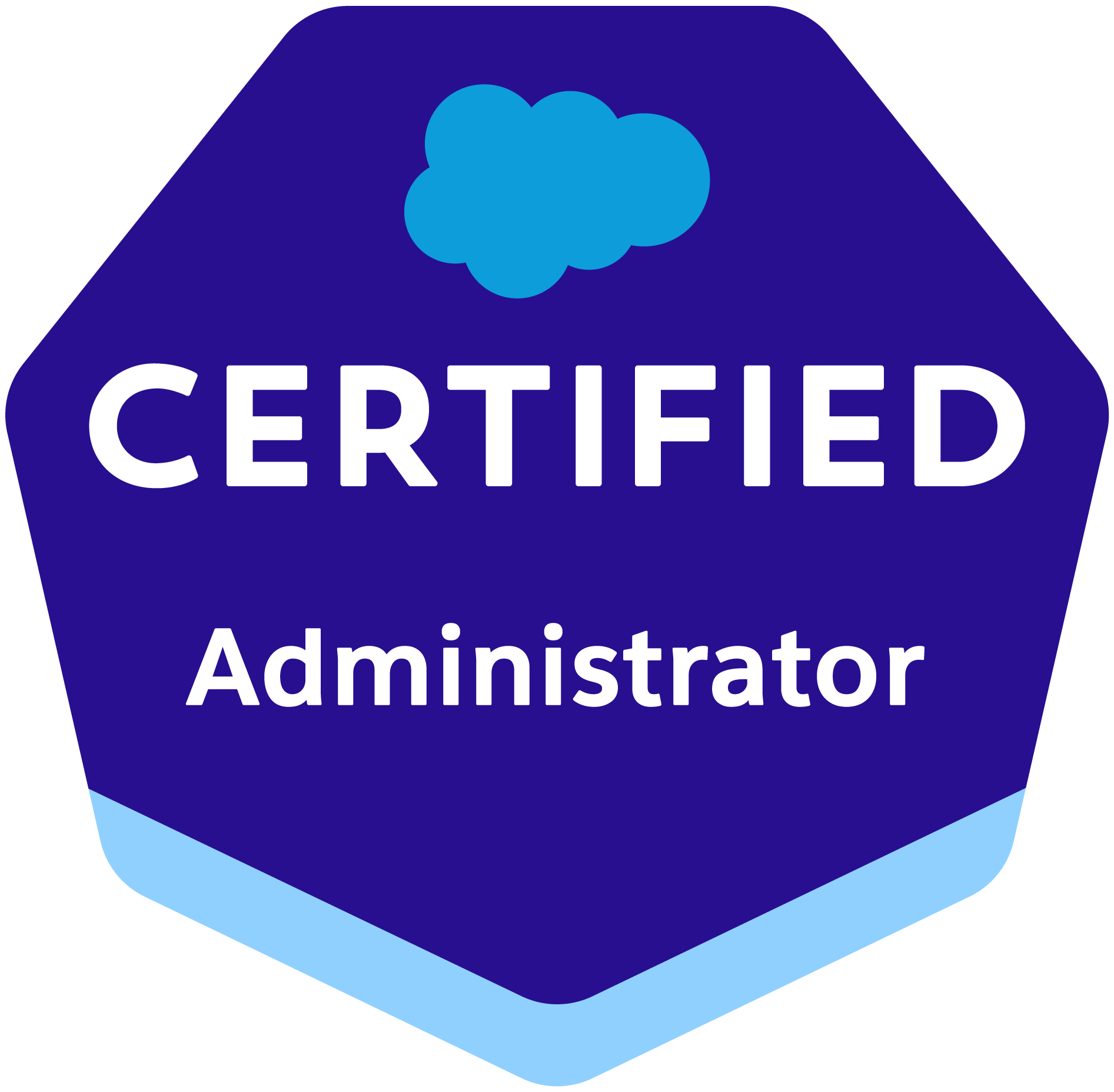 Certified Salesforce Administrator - Salesforce Consulting Agency SUNZINET