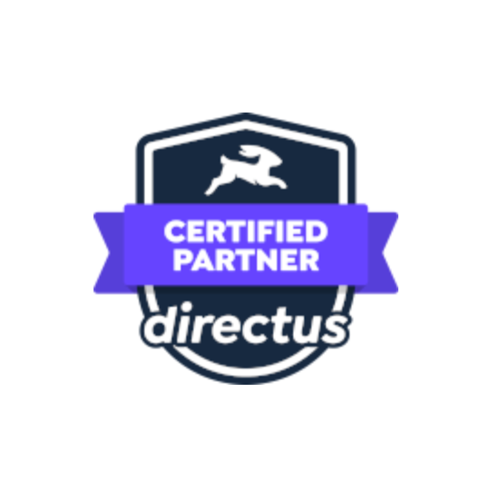 directus-certified-partner