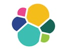 Elastic Search cloud Agentur SUNZINET