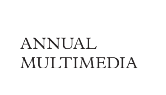 Annual multimedia award - Full Service Shopware Agency SUNZINET - Showpare experts