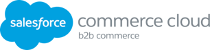 Salesforce B2B Commerce Cloud Agency - SUNZINET