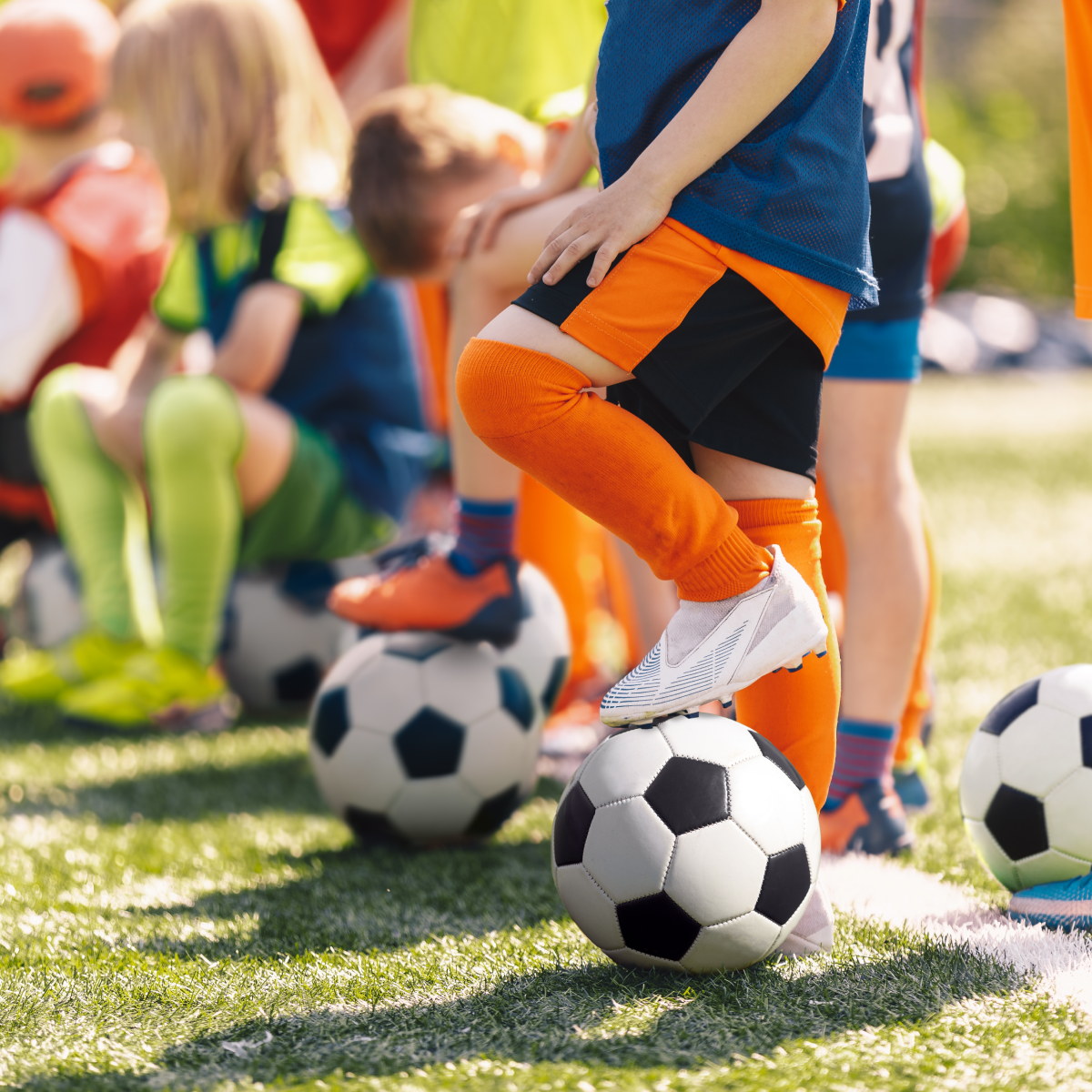 SportCo | Digital Marketing | SUNZINET